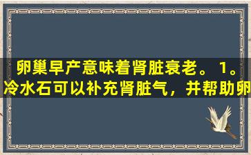 卵巢早产意味着肾脏衰老。 1。冷水石可以补充肾脏气，并帮助卵巢迅速返回春季。